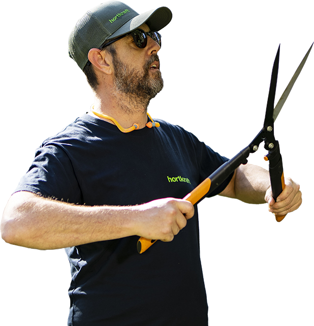 Professional lawn mowing service on the Northern Beaches