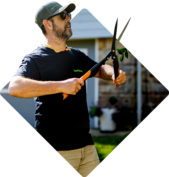 Gutter cleaning service Northern Beaches